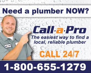 Call A Pro, Acworth Toilet Repair.